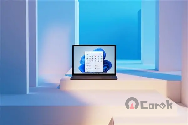 Windows 系统安装软件至 C 盘文件夹的规范