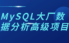 MySQL大厂数据分析高级项目