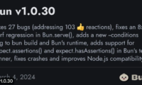 Bun v1.0.30 正式发布！即将提供 Windows 稳定版本