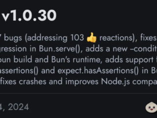 Bun v1.0.30 正式发布！即将提供 Windows 稳定版本