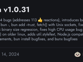 Bun v1.0.31 发布，支持 Unix 套接字发送 HTTP 请求