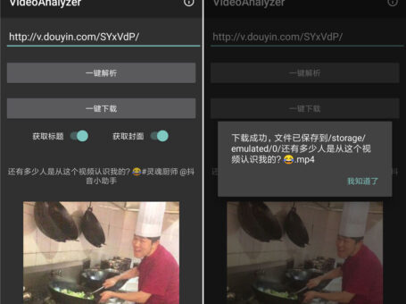 抖音视频解析VideoAnalyzer