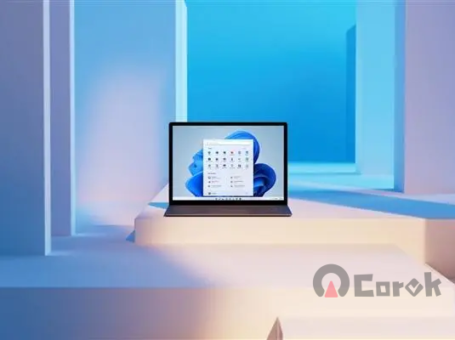Windows 系统安装软件至 C 盘文件夹的规范