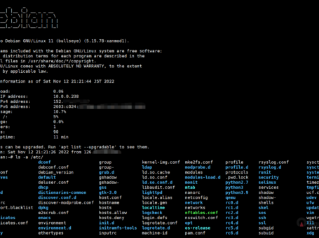 Linux 网络重装脚本支持 Vultr 纯 IPv6，双栈机型