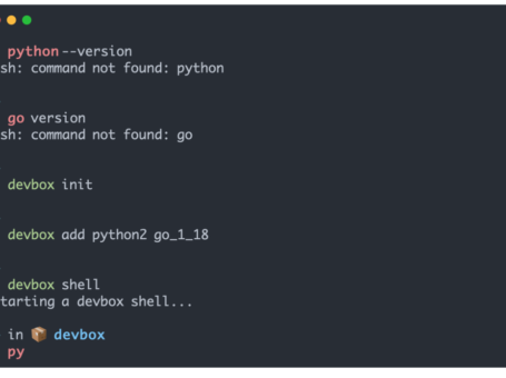 Devbox：即时、简单且可预测的开发环境管理利器