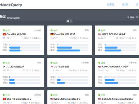 MyNodeQuery：一款简洁好用的探针 Docker 容器镜像
