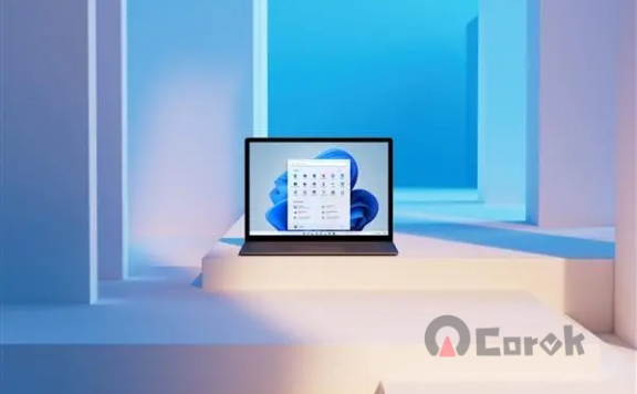 Windows 系统安装软件至 C 盘文件夹的规范