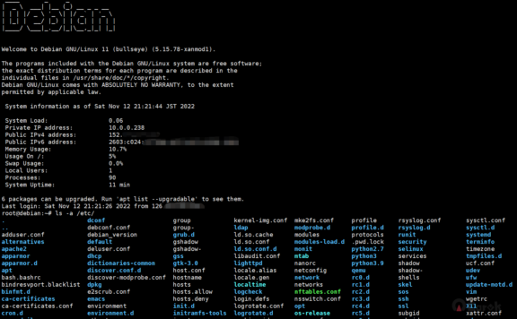 Linux 网络重装脚本支持 Vultr 纯 IPv6，双栈机型