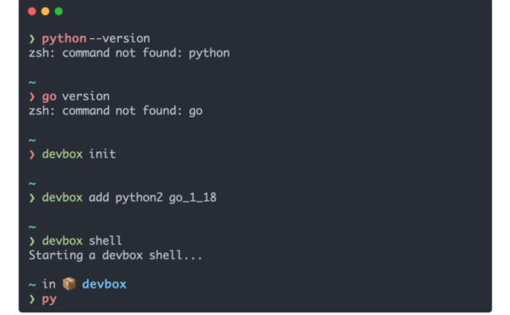 Devbox：即时、简单且可预测的开发环境管理利器
