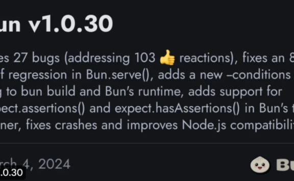 Bun v1.0.30 正式发布！即将提供 Windows 稳定版本